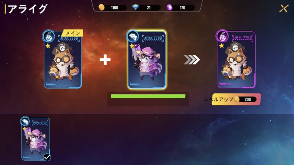 不機嫌なラクーンさん