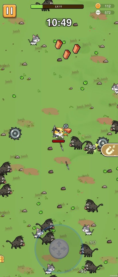 Doge Survivor