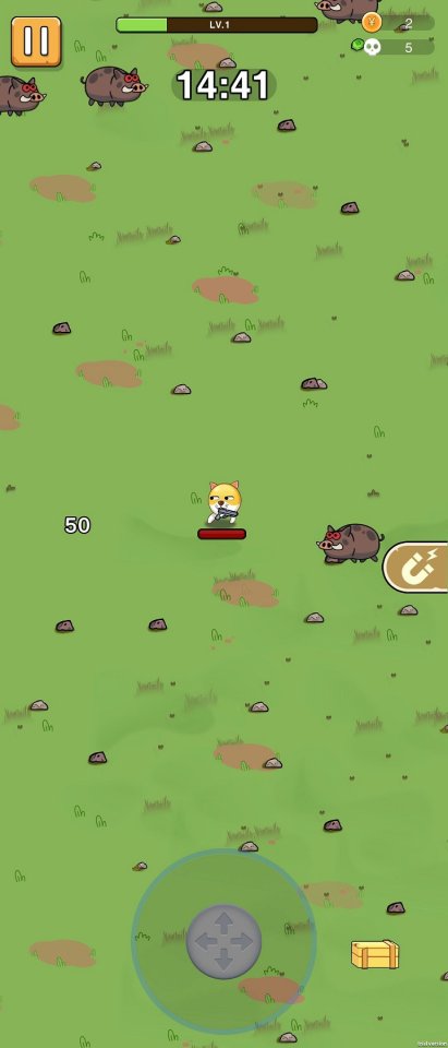 Doge Survivor