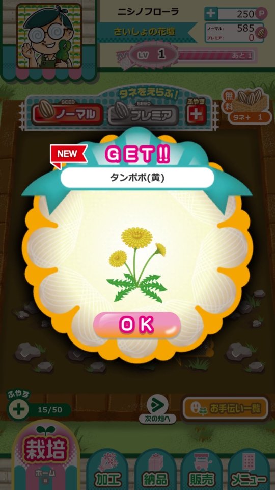 フローラ!~彩る花のワゴン レビュー画像