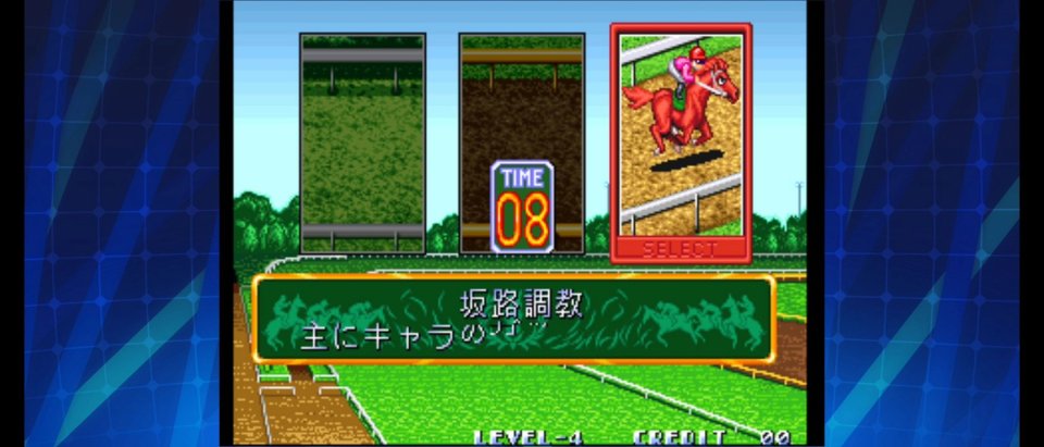 ステークスウィナー アケアカNEOGEO