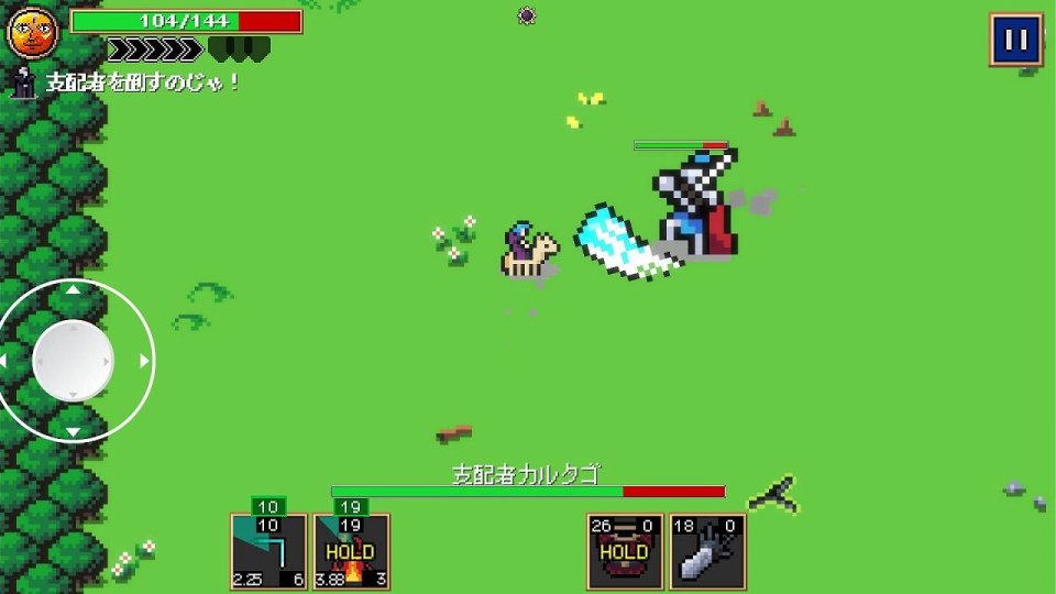 VAREION