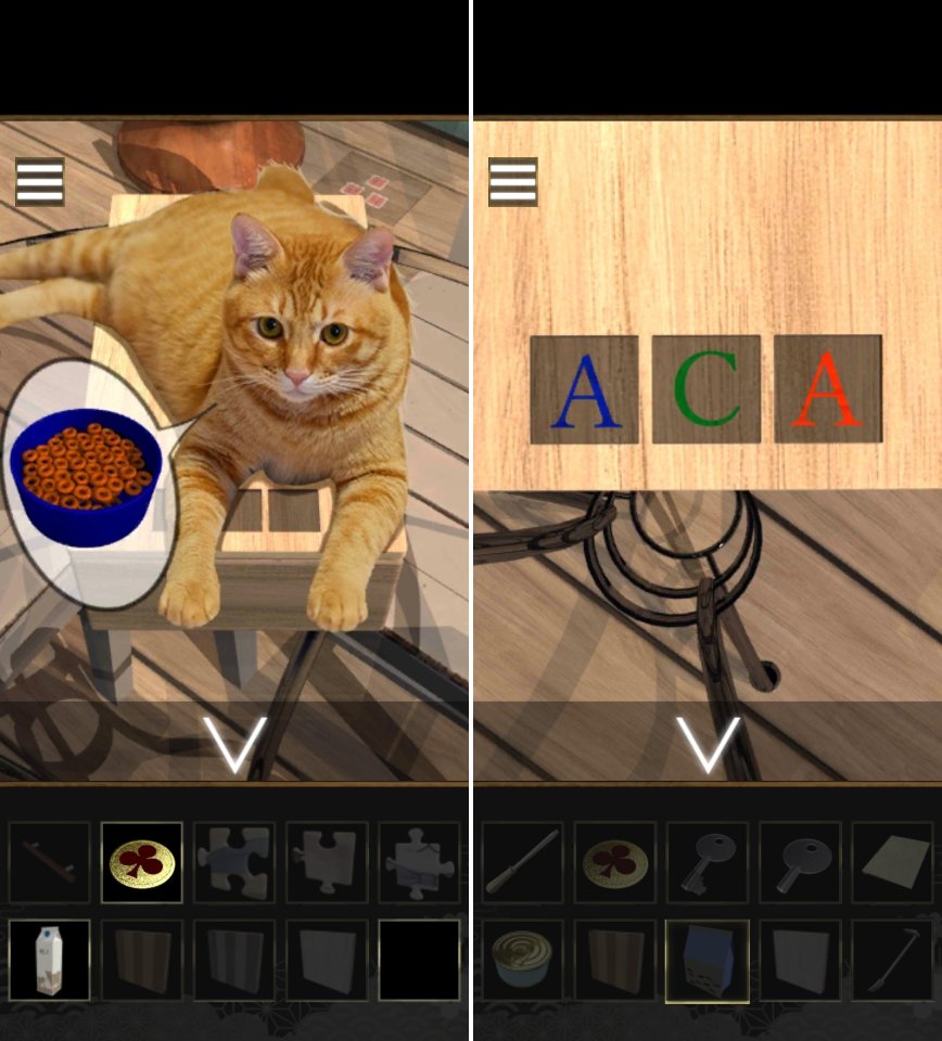 Cat!Cat!Cat!レビュー画像