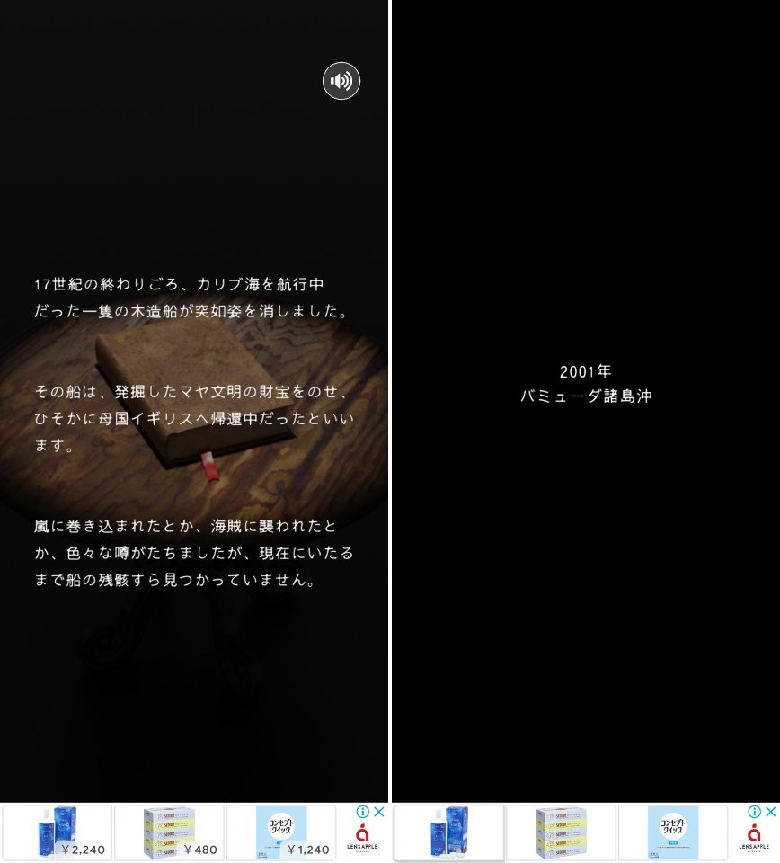 バミューダの秘宝レビュー画像