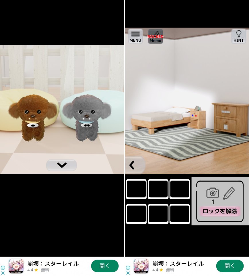 わんこのいる日常レビュー画像