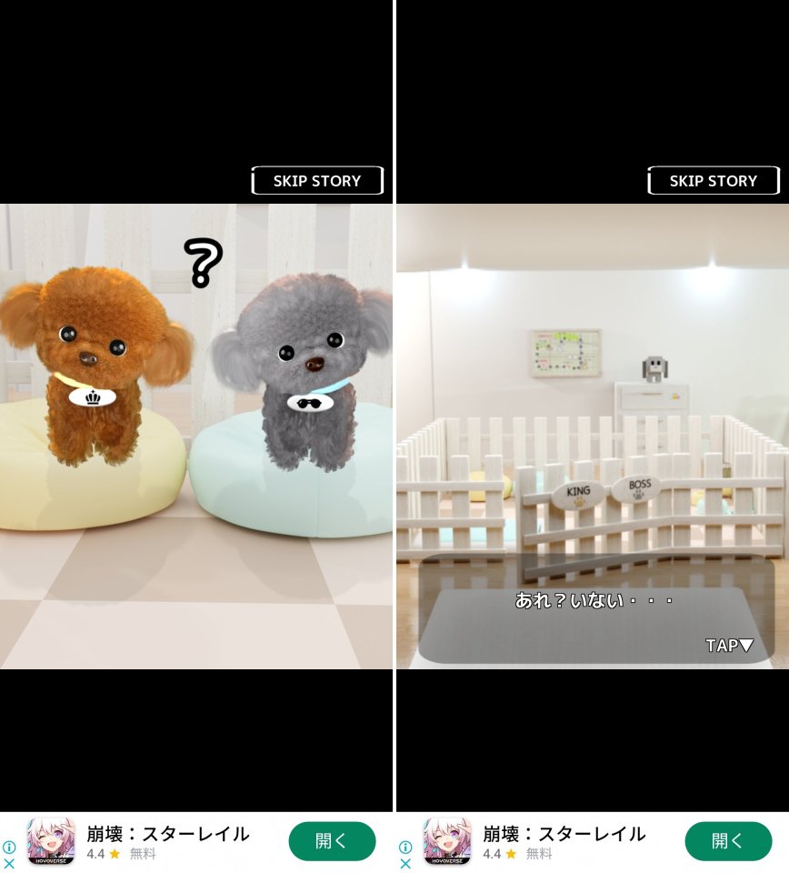 わんこのいる日常レビュー画像