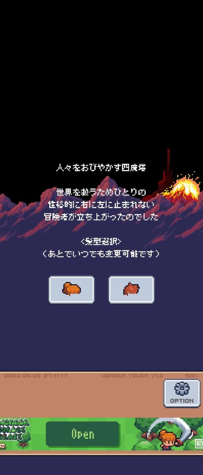 Wonder Tower
