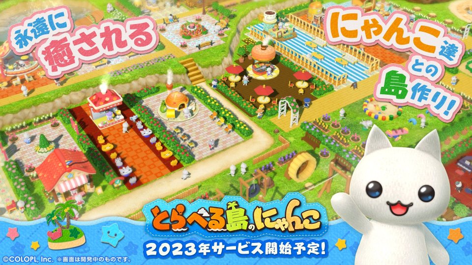 とらべる島のにゃんこ