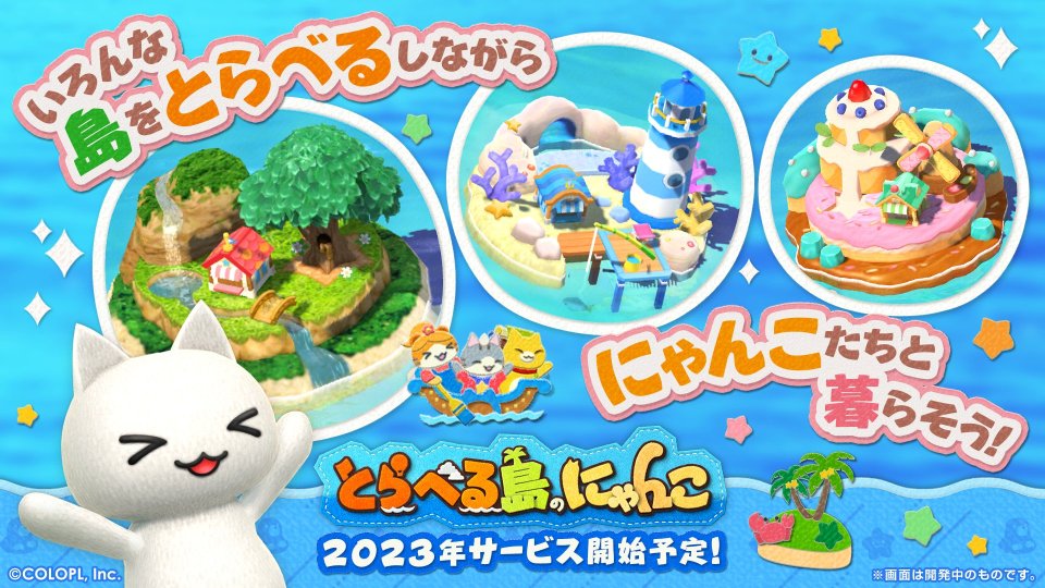 とらべる島のにゃんこ