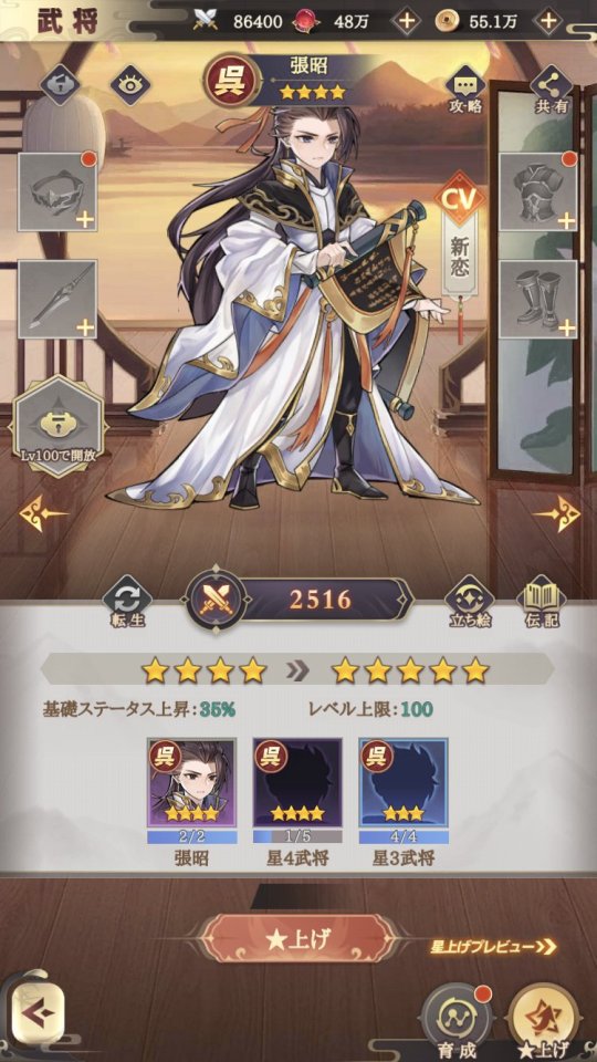 三国志アナザー~星将の願い~
