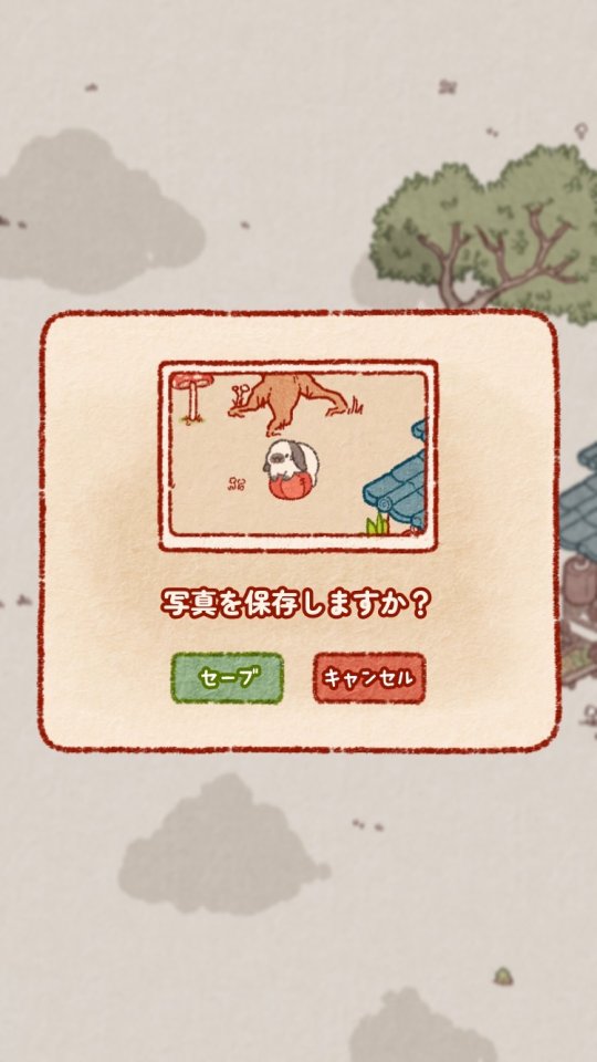 うさぎしま レビュー画像