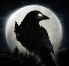 Night Crows 配信日と事前登録の情報の画像