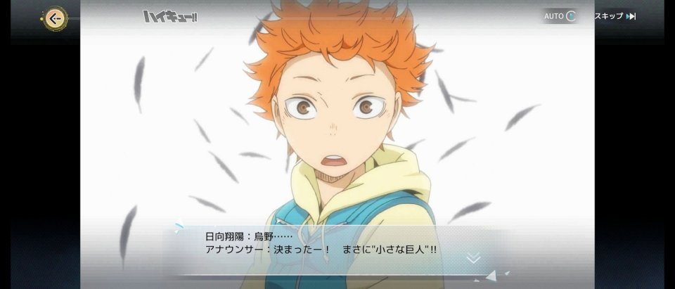 ハイキュー!!FLY HIGH