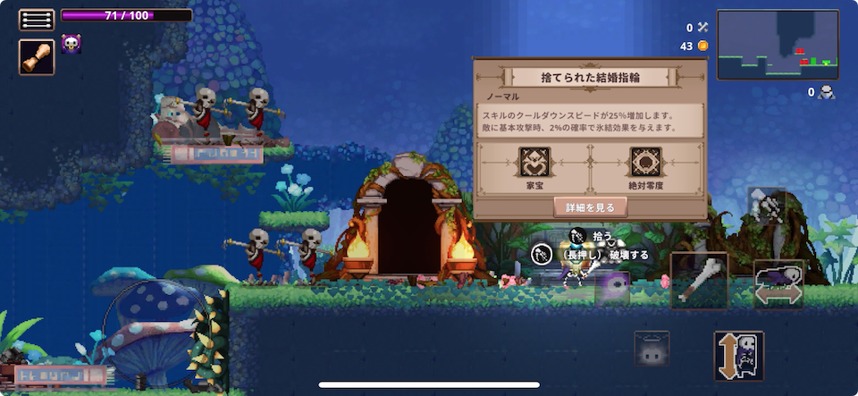 Skul: The Hero Slayer