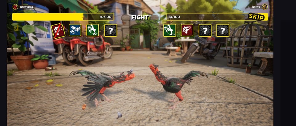 Rooster Fights