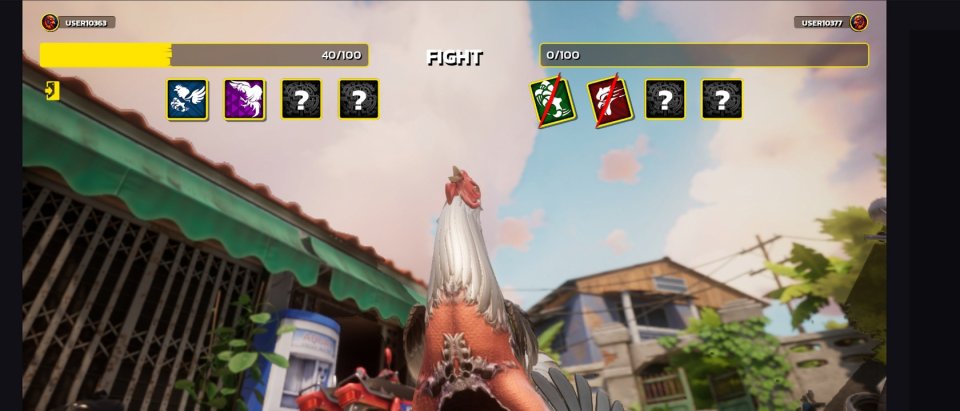 Rooster Fights