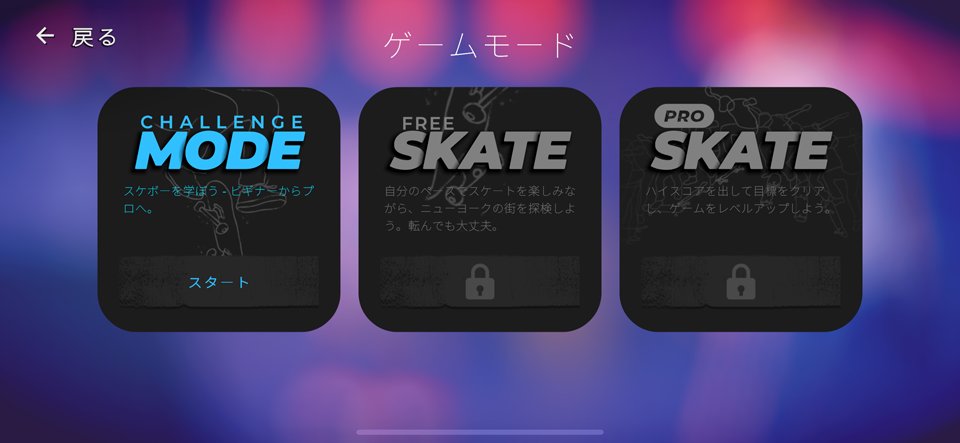 Skate City: New York のレビュー画像