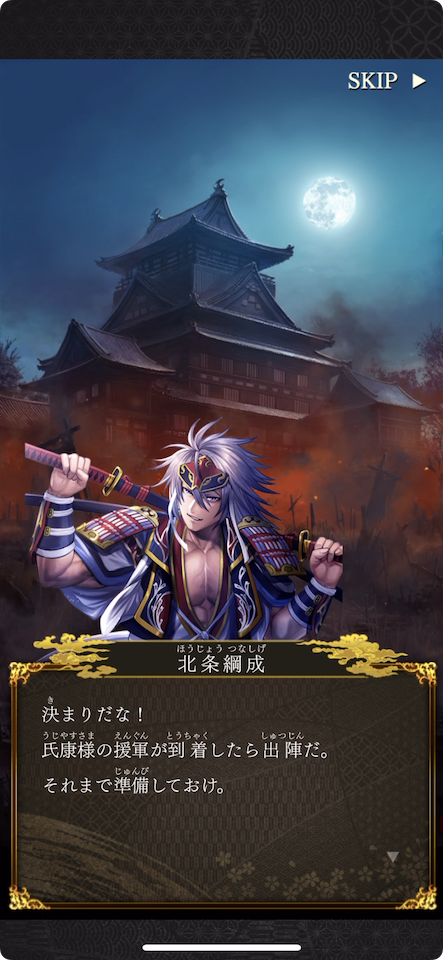 戦国戦輝