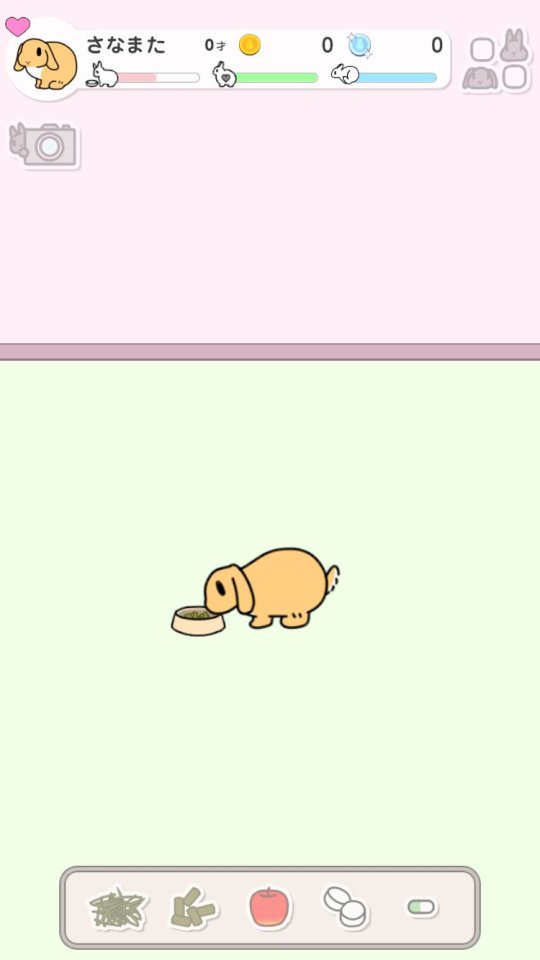 うさびより ～もしも、うさぎと暮らすなら～