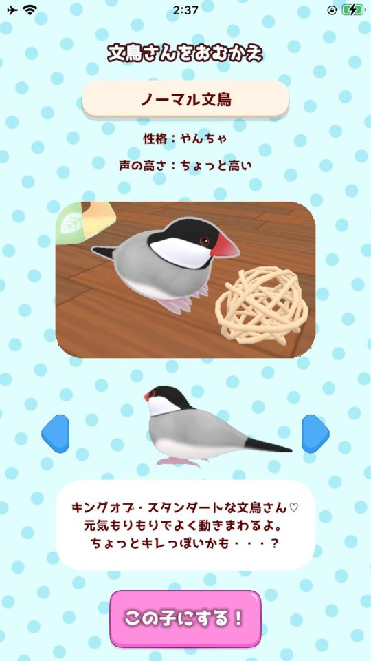 しあわせ文鳥LIFE