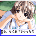 ポケットヒロインの当時のゲーム画面2