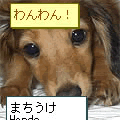 まちうけHands Ver1.5の当時のゲーム画面3