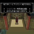 ネザードメインの当時のゲーム画面