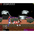 源平討魔伝の当時のゲーム画面3