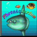 フォトアクアリウムの当時のゲーム画面