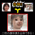 カオガッタイの当時のゲーム画面2