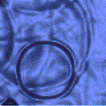 Water2D v1の当時のゲーム画面