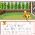 ウチの犬の当時のゲーム画面