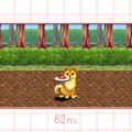 ウチの犬の当時のゲーム画面2