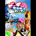 ビーチDEミニゲームパーティーの当時のゲーム画面
