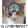 脳内カメラの当時のゲーム画面4