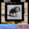 15パズルすたんだーどの当時のゲーム画面2