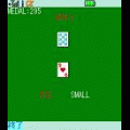 大小道の当時のゲーム画面